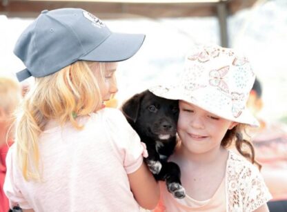 Kids-dog-500x369