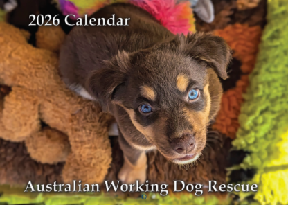 2026 Calendar Cover original size 1836x1306